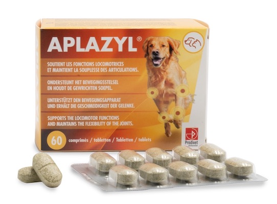 Prodivet Aplazyl pour articulations des chiens et chats